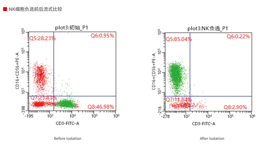 人 NK 细胞分离试剂盒（负选） #FLOSEP-C-NKN