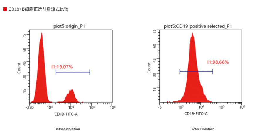 人 CD19+ B 细胞分离试剂盒（正选） #Flosep-C-019P