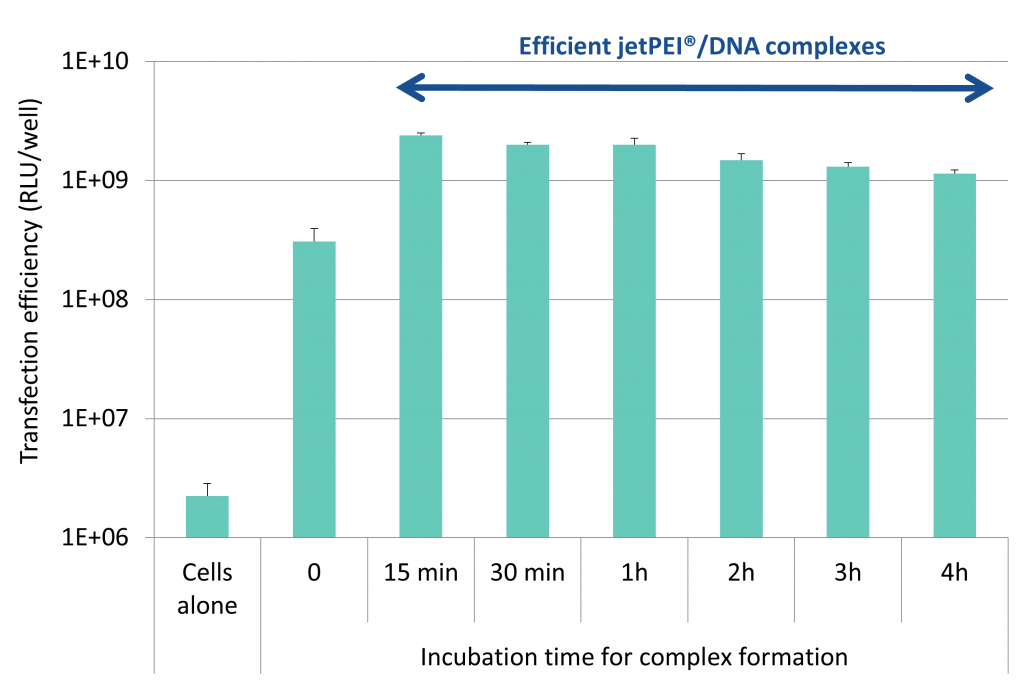 jetPEI® DNA转染试剂(101000053)转染图