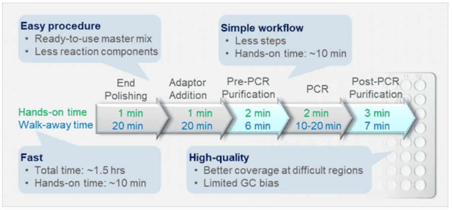 NGS低输入DNA建库试剂盒工作流程