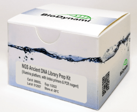 BioDynami NGS 古DNA建库试剂盒