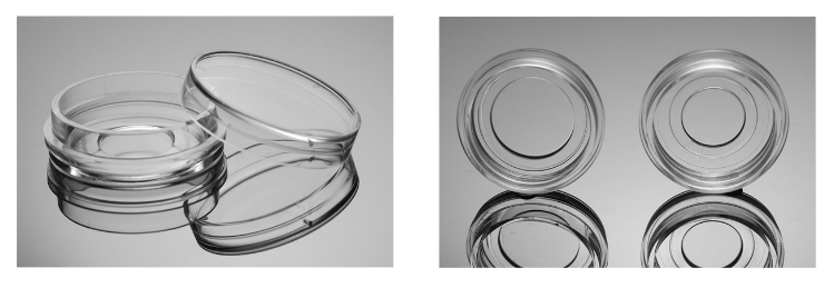 NEST玻底细胞培养皿产品图