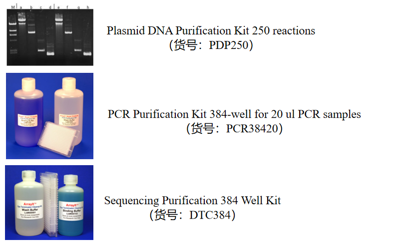 Purification Kits产品图