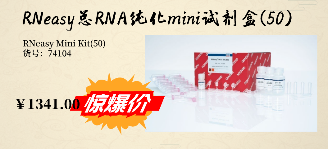RNeasy总RNA纯化mini试剂盒图片